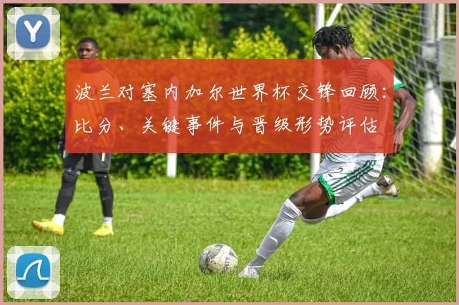 波兰对塞内加尔世界杯交锋回顾:比分、关键事件与晋级形势评估