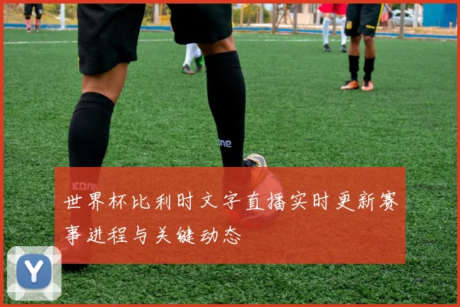 世界杯比利时文字直播实时更新赛事进程与关键动态