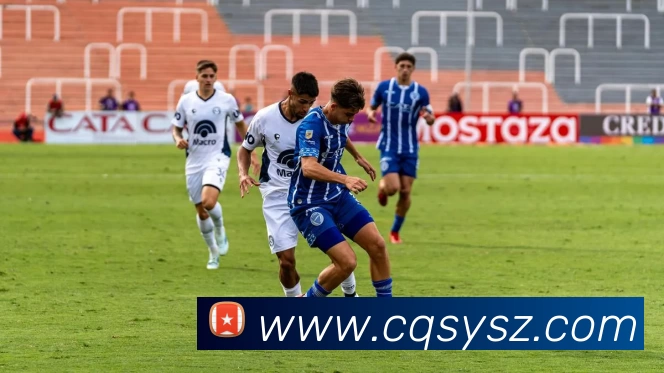 奥运会会徽发布引起版权与文化讨论影响赛事筹备与传播策略